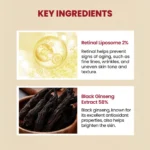 k-secret seoul 1988 retinal serum