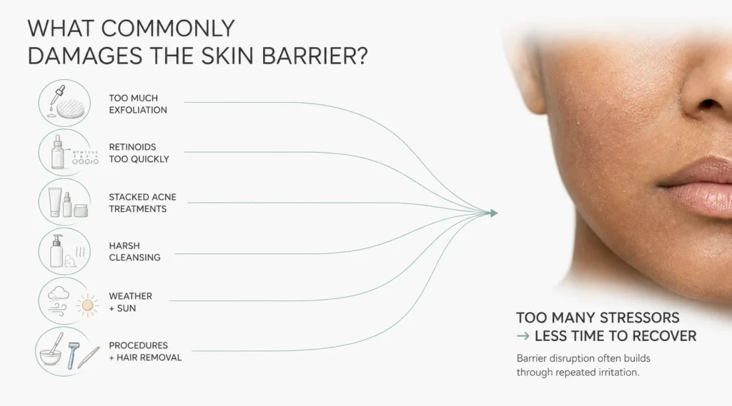 What Commonly Damages the Skin Barrier?