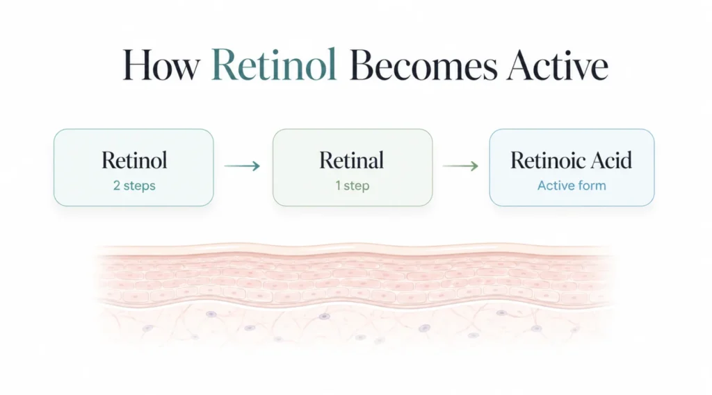 What is Retinol and How is it Different From a Retinoid?